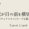 蛇が目の前を横切る：スピリチュアルなメッセージを読み解く
